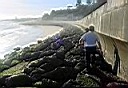 wP3-27-0555.JPG